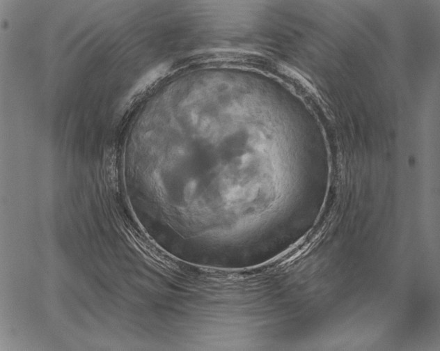 X0000067351403200604131739