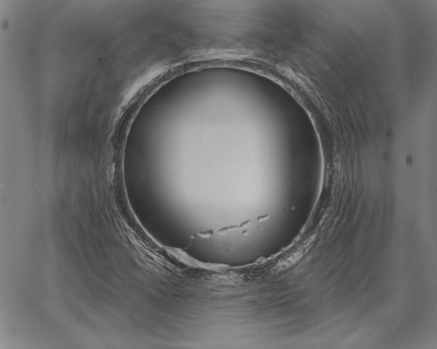 X0000067351406200604131739