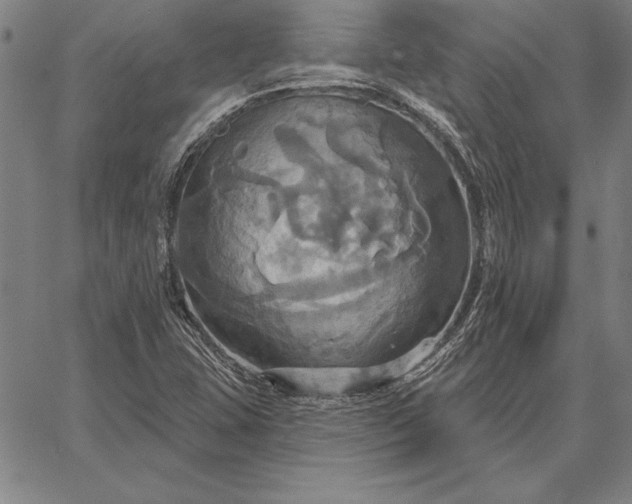 X0000067351407200604131739