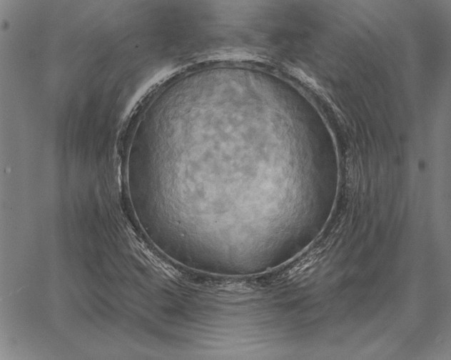 X0000067351408200604131739