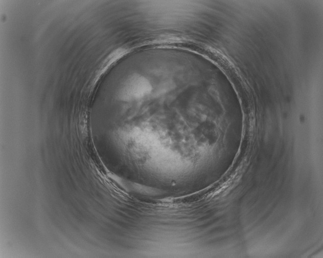 X0000067351409200604131739