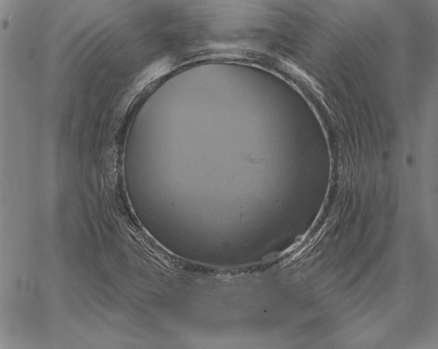 X0000067351411200604131739