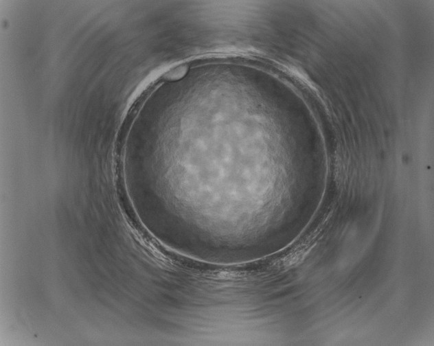 X0000067351412200604131739