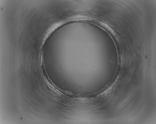 X0000067351413200604131739