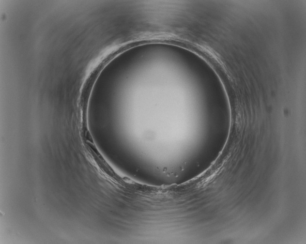 X0000067351414200604131739