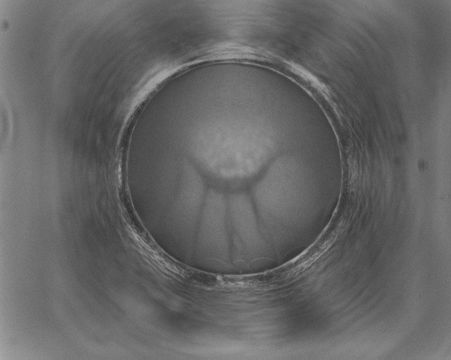 X0000067351415200604131739