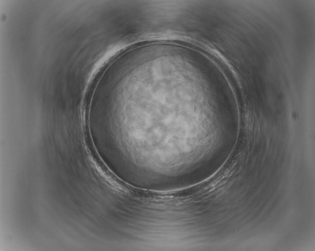 X0000067351416200604131739