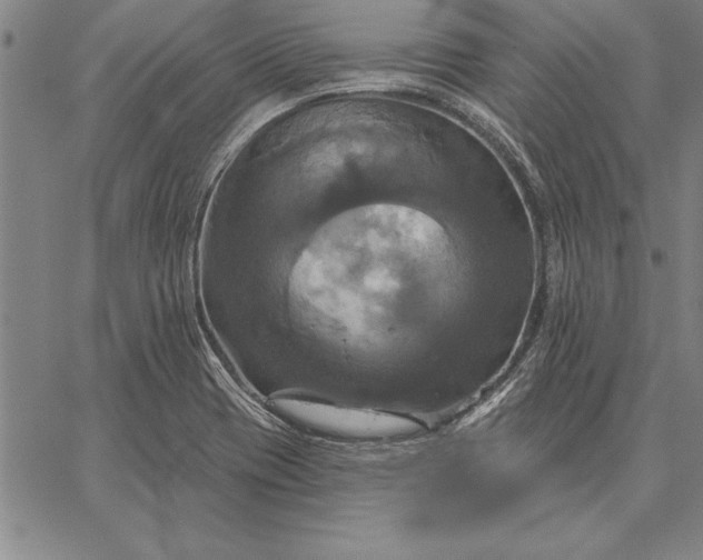 X0000067351417200604131739