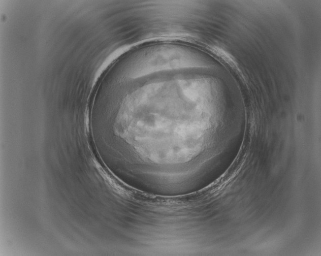 X0000067351420200604131739