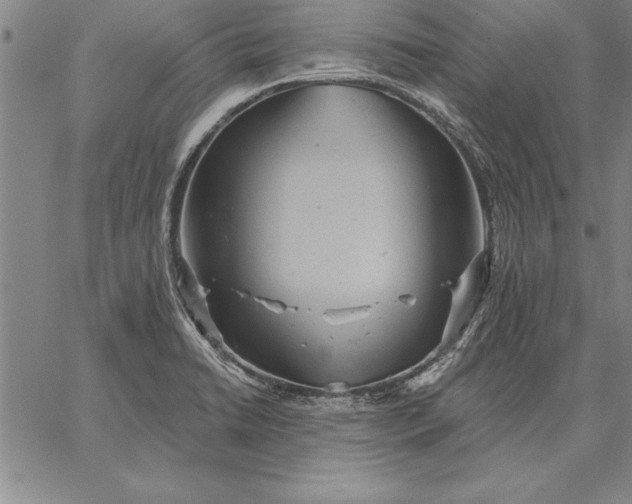 X0000067351422200604131739