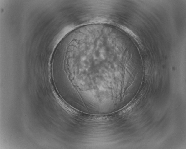 X0000067351423200604131739