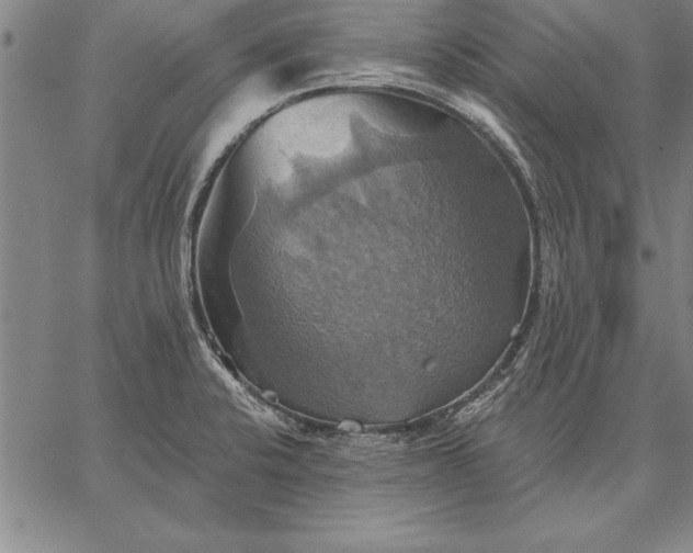 X0000067351424200604131739