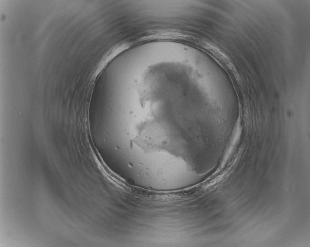 X0000067351425200604131739