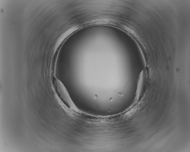 X0000067351426200604131739