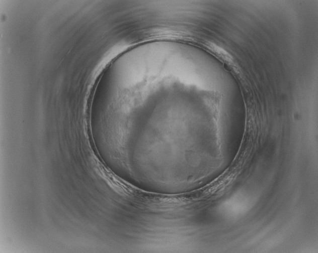 X0000067351427200604131739