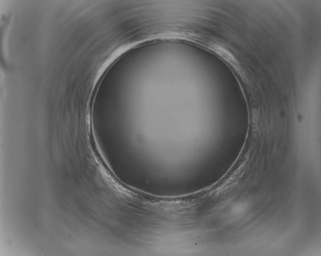 X0000067351428200604131739