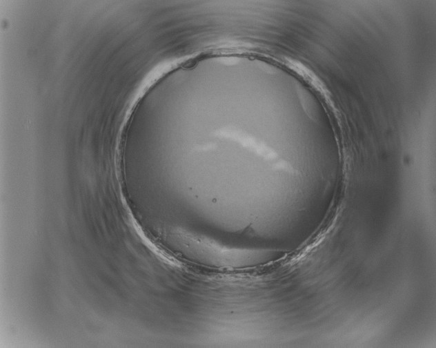 X0000067351429200604131739