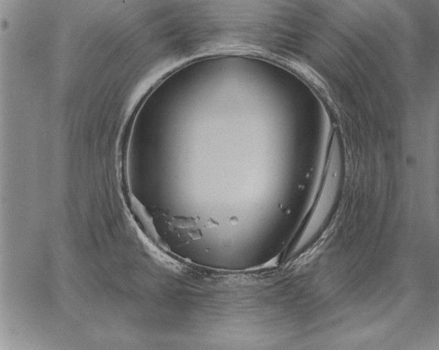 X0000067351430200604131739