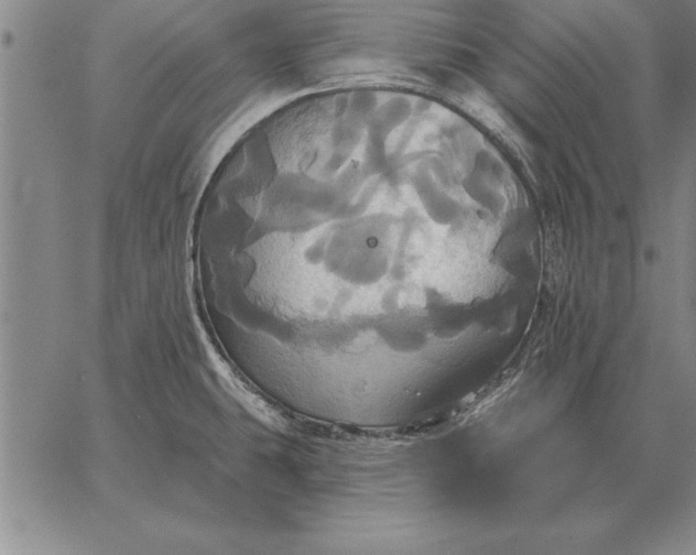 X0000067351431200604131739