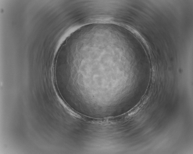 X0000067351432200604131739