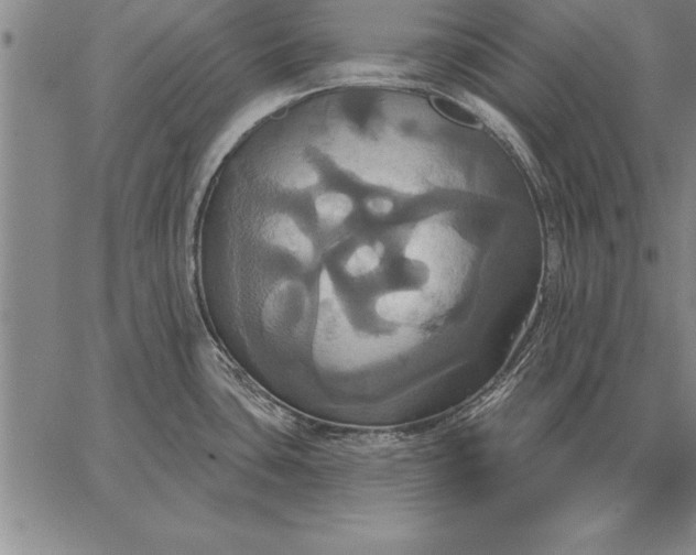 X0000067351435200604131739