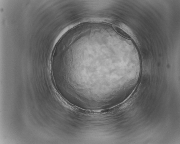 X0000067351436200604131739