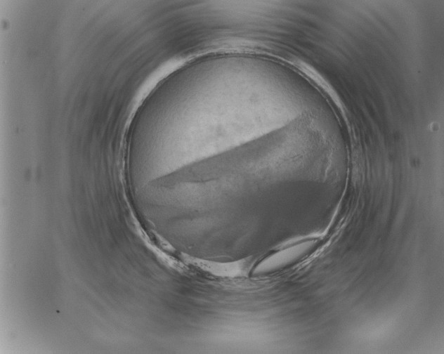 X0000067351437200604131739