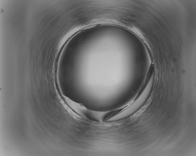 X0000067351438200604131739