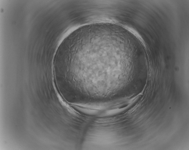 X0000067351439200604131739