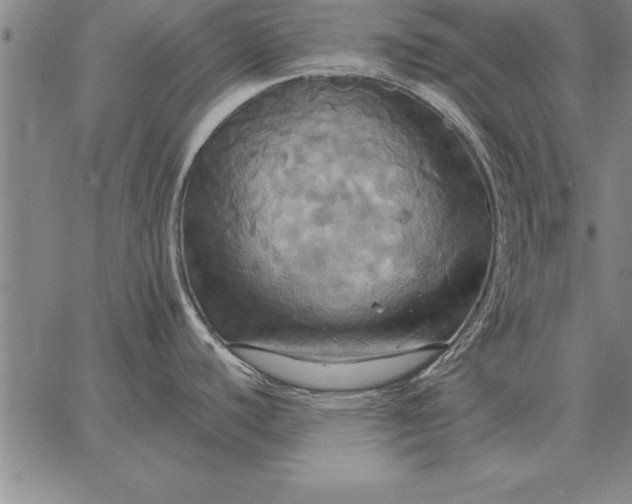 X0000067351440200604131739