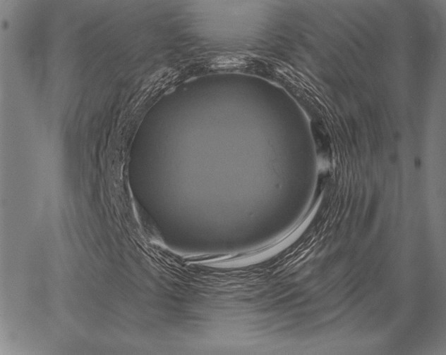 X0000067351441200604131739