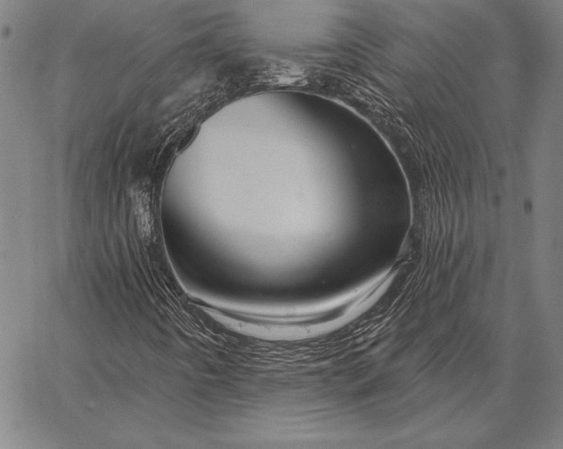 X0000067351442200604131739