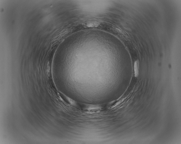 X0000067351443200604131739