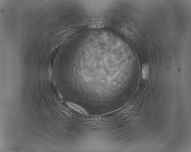 X0000067351444200604131739