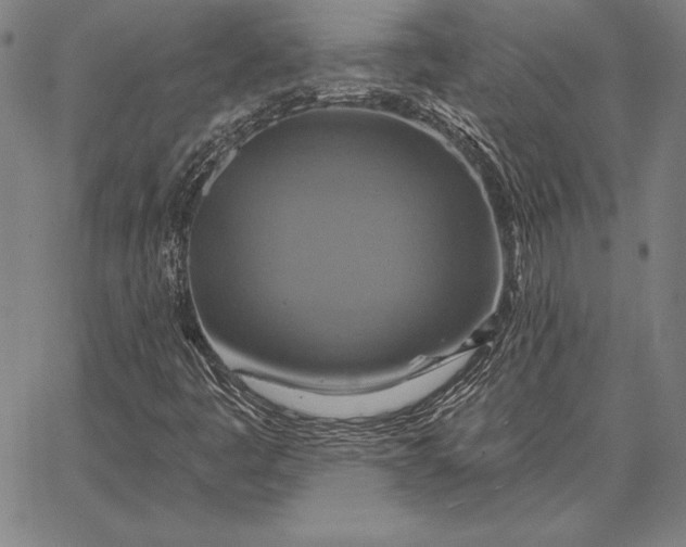 X0000067351445200604131739