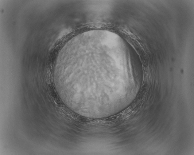 X0000067351446200604131739