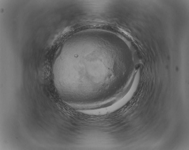 X0000067351447200604131739