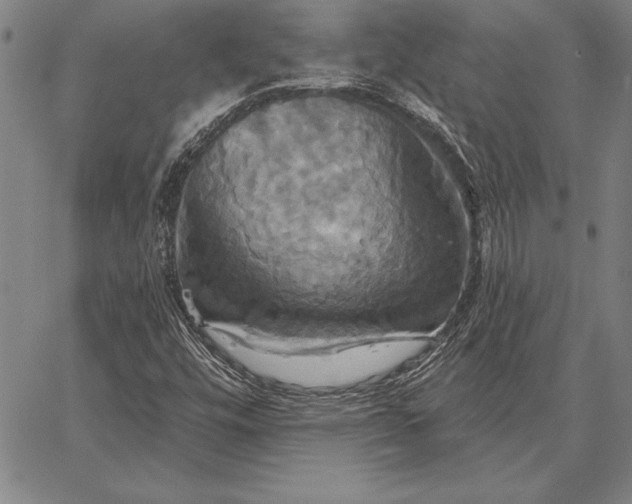 X0000067351448200604131739