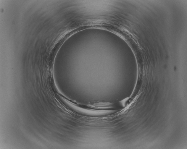 X0000067351449200604131739