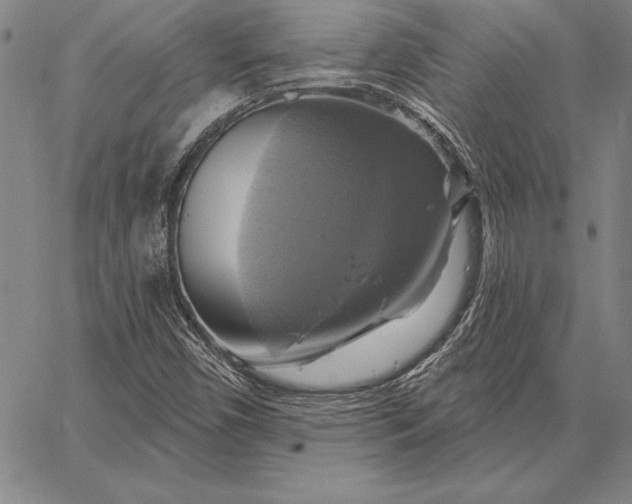 X0000067351450200604131739