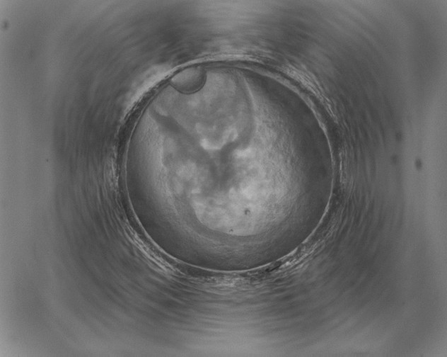 X0000067351452200604131739