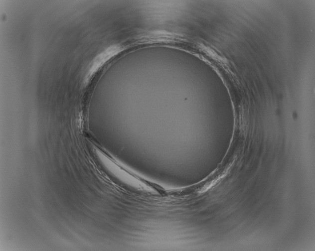 X0000067351453200604131739