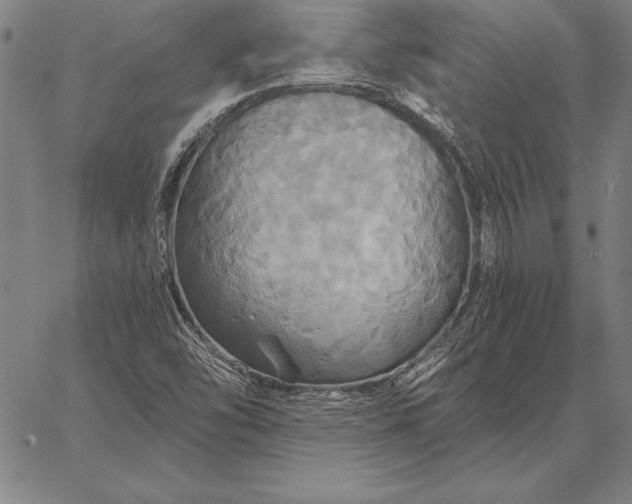 X0000067351454200604131739