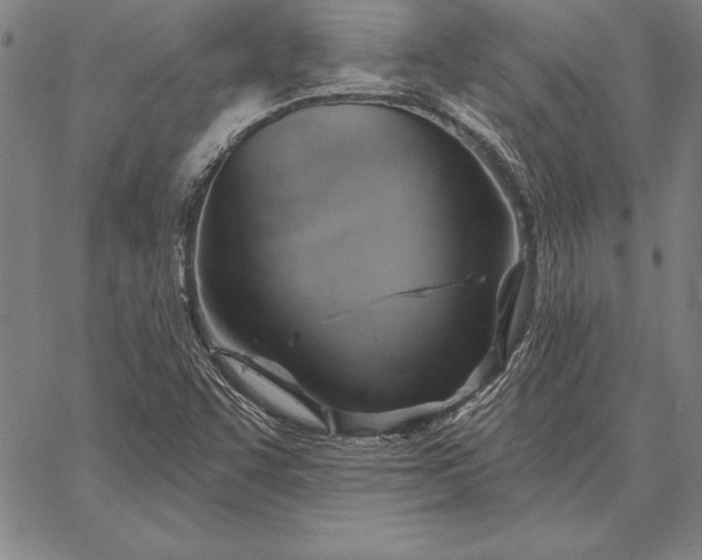 X0000067351455200604131738