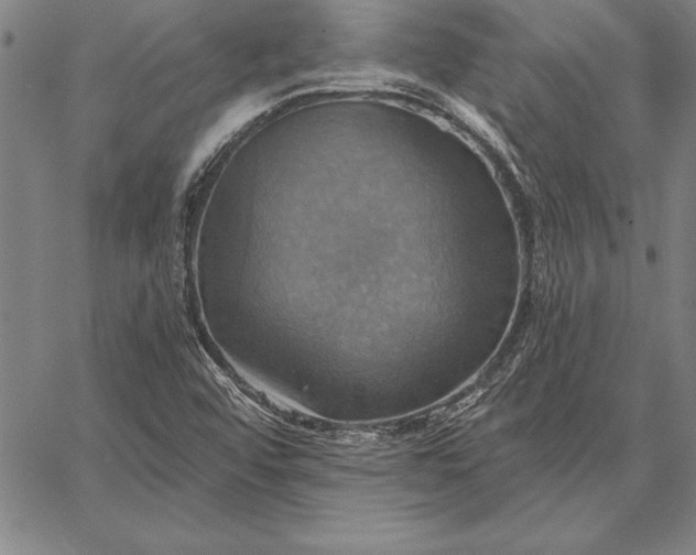 X0000067351456200604131738