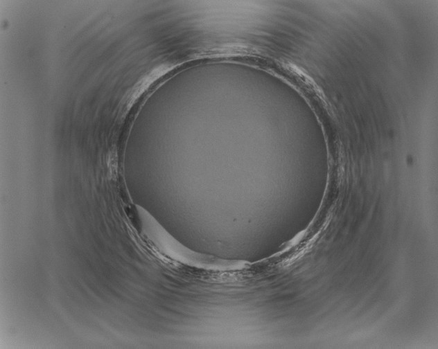 X0000067351457200604131738