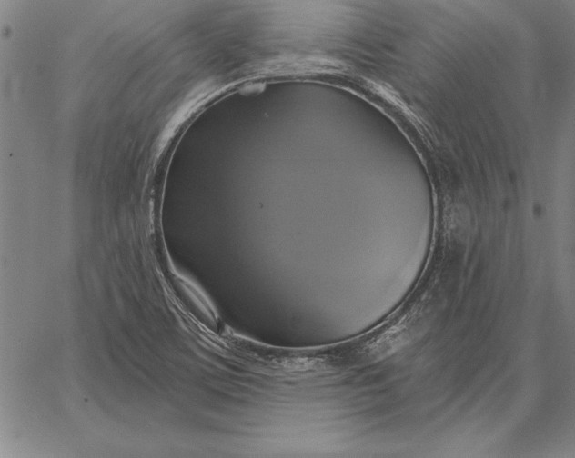 X0000067351459200604131738