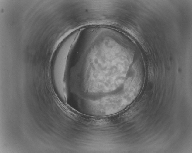 X0000067351460200604131738