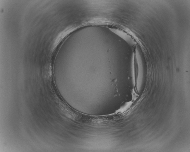 X0000067351461200604131738