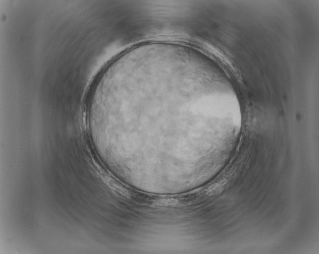 X0000067351462200604131738